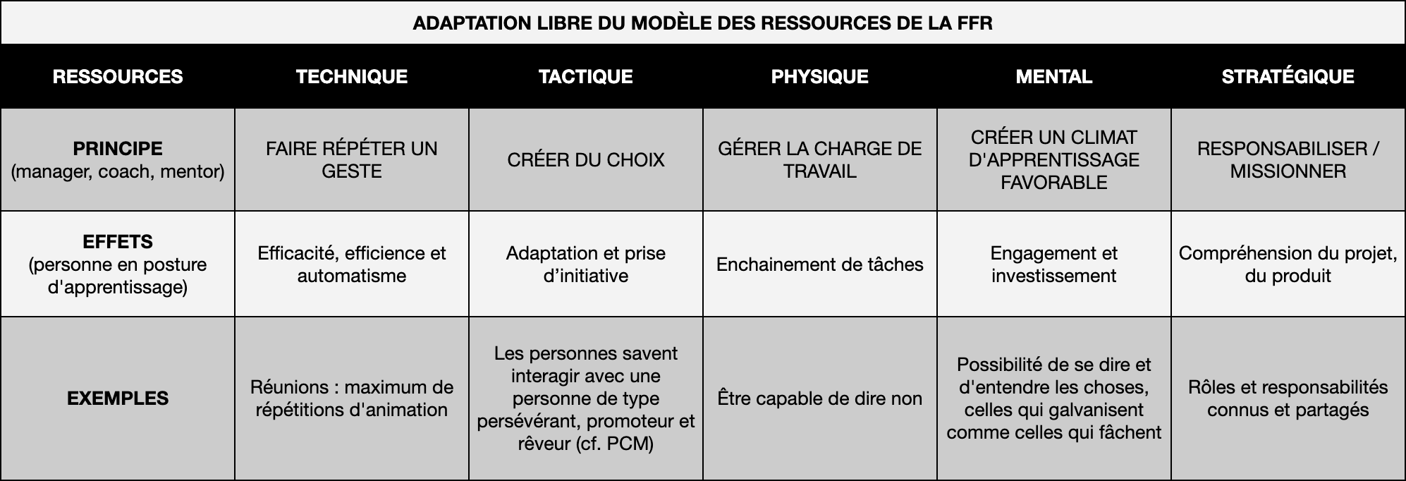 Adapatation du modèle de la FFR dans un contexte plus IT