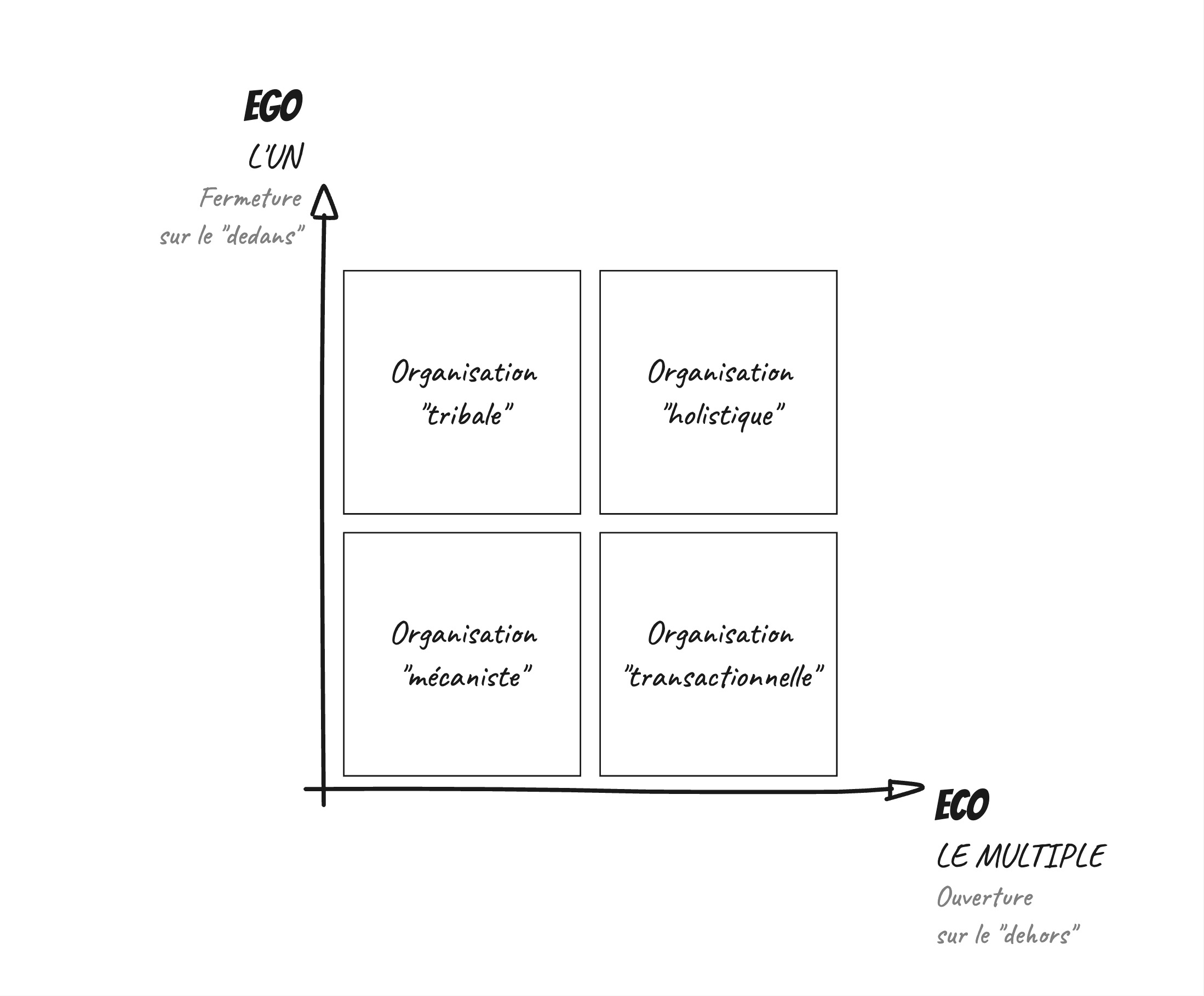 Les types d’organisation de la matrice EGO ECO